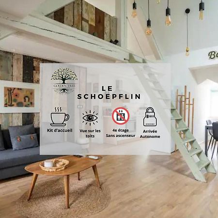 Strasbourg hyper centre, superbe appartement Extérieur photo